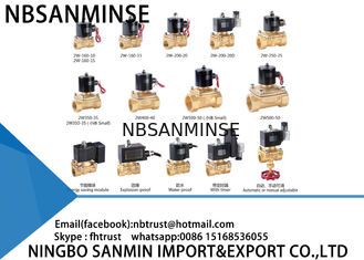 2W Serisi Solenoid Valf Pirinç Valf Su Valfi Buhar Valfi Patlama Önleyici Solenoid Valf