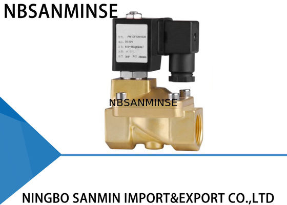 Gaz için Özel PM 2/2 Yollu Pirinç Solenoid Valf Kilitleme Solenoid Valfı