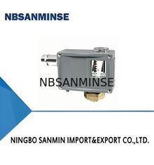 TL0002 Su Basıncı Değiştiricisi Mikro Basınç Basınç Denetimcisi