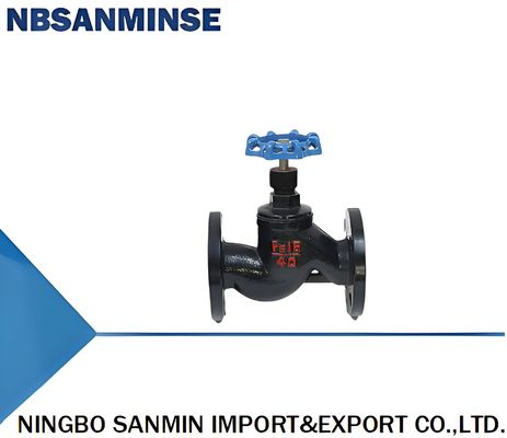 Flange type globe valve