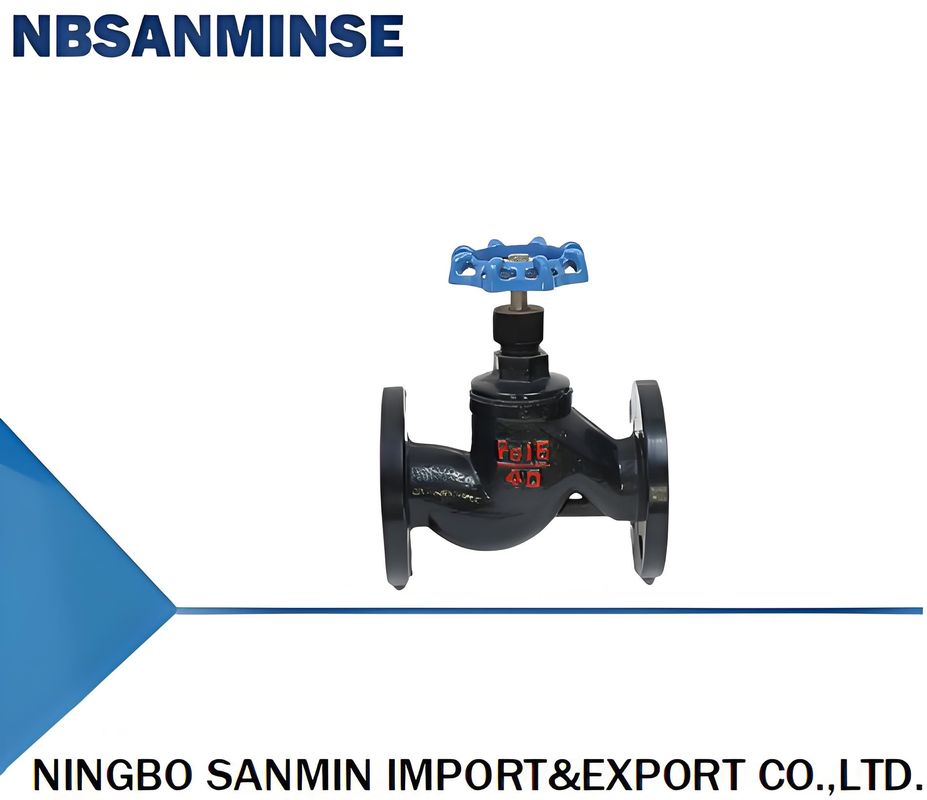 Flange type globe valve