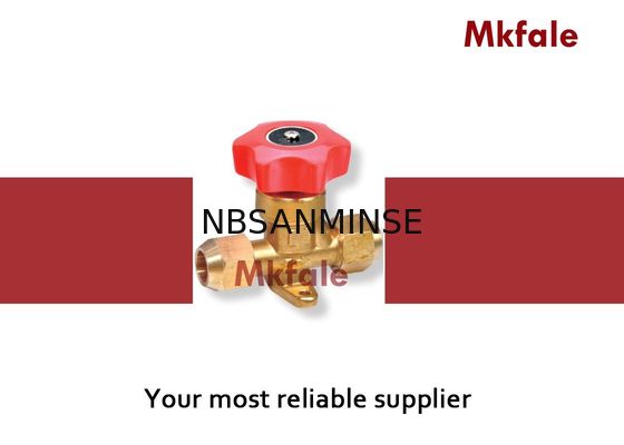 Manuel Durdurma Elektrikli Solenoid Hava Valfi Teflon Pirinç Solenoid Valf Kurulu Özel Tasarım