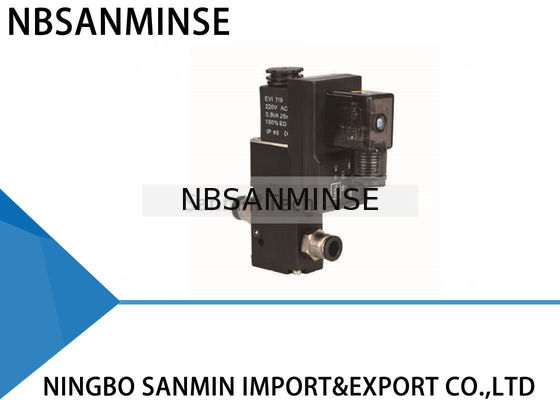 Hava Çekiç A Tipi B Tipi Özel Pnömatik Solenoid Valf DC / AC Gerilim G1 / 4 "